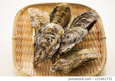 冬天是生蠔的季節 冬天是生蠔的季節 123861752