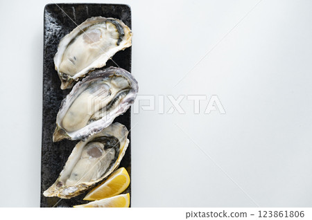 Winter taste oysters Winter taste oysters 123861806