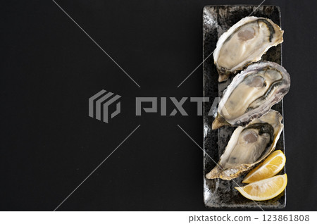 Winter taste oysters 123861808