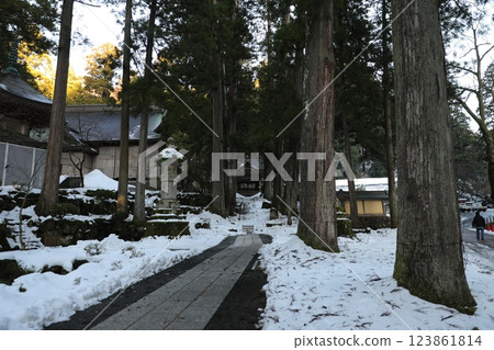 日本寺廟參道 123861814