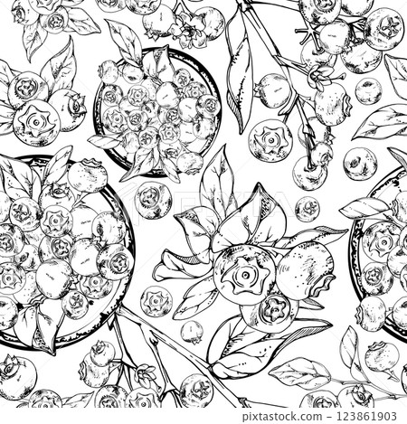 Blueberry blackberry heap on ceramic plate, plant leaves on branches hand drawn in ink vector, ripe sketch forest berry. Seamless pattern isolated illustration. Scrapbooking, decoupage, gift bag paper Blueberry blackberry heap on ceramic plate, plant leaves on branches hand drawn in ink vector, ripe sketch forest berry. Seamless pattern isolated illustration. Scrapbooking, decoupage, gift bag paper 123861903