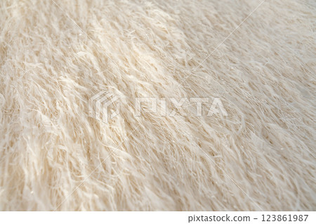 Close-up of feathered textile with shimmering metallic threads in beige tones with sunlight. Close-up of feathered textile with shimmering metallic threads in beige tones with sunlight. 123861987