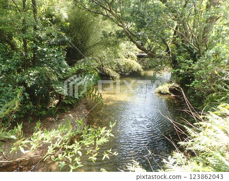 Ta-taki waterfall, Okinawa, waterfall, river, northern Okinawa, nature 123862043