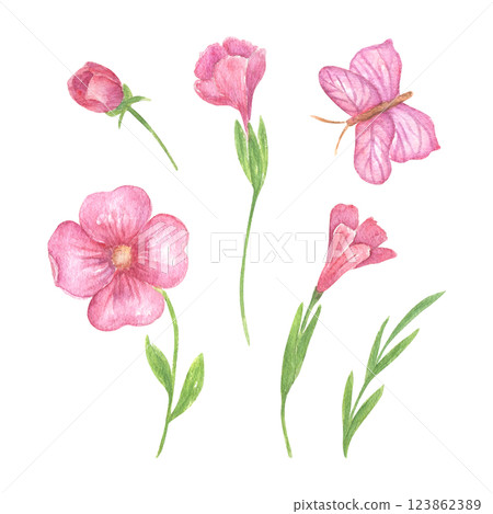 A set of pink flowers and buds, leaves and butterflies, floral watercolor illustration for the design of wedding invitations, greeting cards, printing design. Spring and summer recruitment 123862389