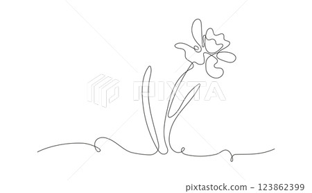 Narcissus flower in the style of drawing a continuous line. Horizontal floral border of the first spring flowers in the form of line art. Minimalistic black linear design, vector illustration 123862399