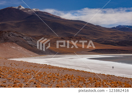 Tuyajto Salt flats in the Atacama Desert - Chile, Tuyajto Salt flats in the Atacama Desert - Chile, 123862416