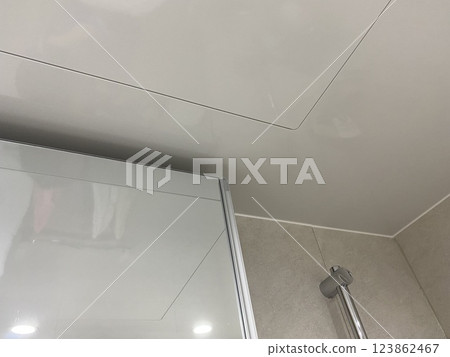 Bathroom Mirror and Ceiling Bathroom Mirror and Ceiling 123862467