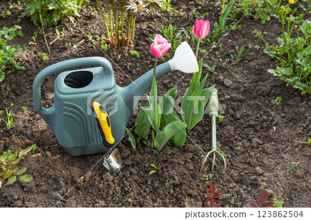 Watering can and garden tools on the flowerbed. 123862504