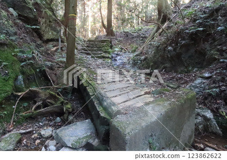 音羽山登山道 音羽山登山道 123862622