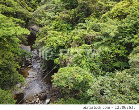 Hiji Falls, Kunigami Village, Okinawa, Waterfall, Okinawa Island 123862633