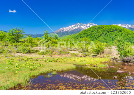 [Nagano Prefecture] Norikura Highlands, Ichinose Park, Maime Pond with fresh greenery 123862660