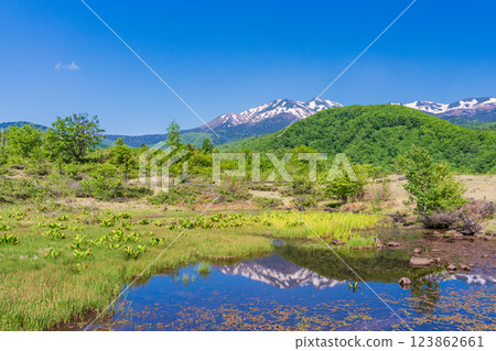 [長野縣]乘鞍高原、一之瀨公園、新綠的舞目池 123862661