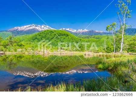 [Nagano Prefecture] Norikura Highlands, Ichinose Park, Maime Pond with fresh greenery 123862666