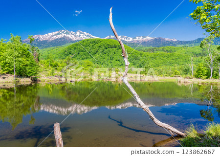 [Nagano Prefecture] Norikura Highlands, Ichinose Park, Maime Pond with fresh greenery 123862667