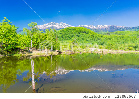 [Nagano Prefecture] Norikura Highlands, Ichinose Park, Maime Pond with fresh greenery 123862668