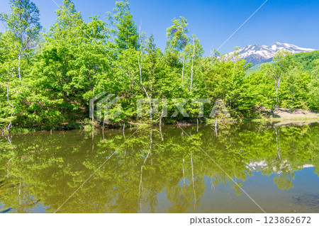 [Nagano Prefecture] Norikura Highlands, Ichinose Park, Maime Pond with fresh greenery 123862672