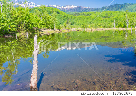 [長野縣]乘鞍高原、一之瀨公園、新綠的舞目池 123862673