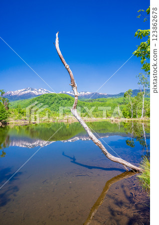 [長野縣]乘鞍高原、一之瀨公園、新綠的舞目池 123862678