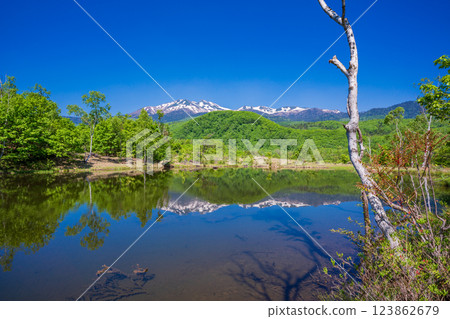 [Nagano Prefecture] Norikura Highlands, Ichinose Park, Maime Pond with fresh greenery 123862679