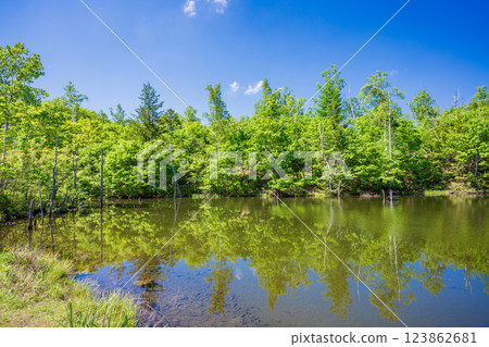 [Nagano Prefecture] Norikura Highlands, Ichinose Park, Maime Pond with fresh greenery 123862681