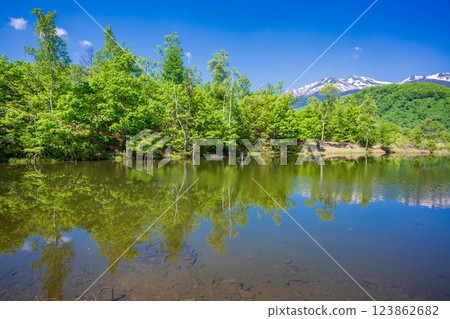 [Nagano Prefecture] Norikura Highlands, Ichinose Park, Maime Pond with fresh greenery 123862682