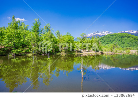 [Nagano Prefecture] Norikura Highlands, Ichinose Park, Maime Pond with fresh greenery 123862684