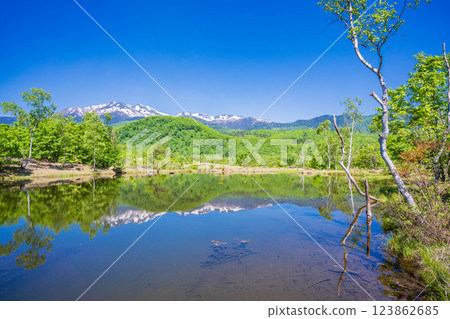 [Nagano Prefecture] Norikura Highlands, Ichinose Park, Maime Pond with fresh greenery 123862685
