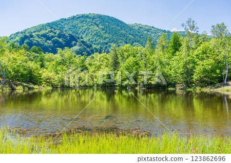 [長野縣]乘鞍高原、一之瀨公園、新綠的舞目池 123862696