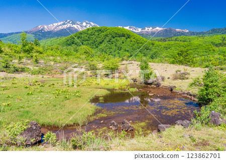 [長野縣]乘鞍高原、一之瀨公園、新綠的舞目池 123862701