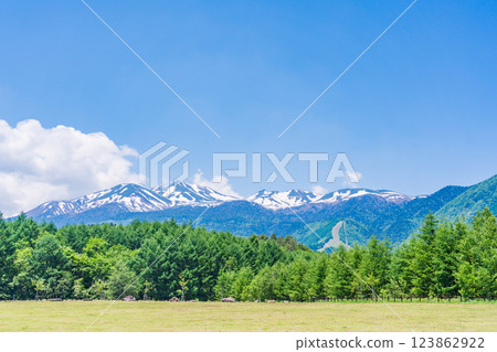 [Nagano Prefecture] Norikura Highlands - Fresh greenery at Ichinose Park 123862922