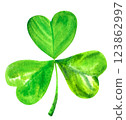 Green watercolor shamrock, Irish three leaf clover, an isolated design element 123862997