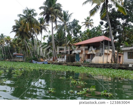 南印度的水邊生活 南印度的水邊生活 123863004