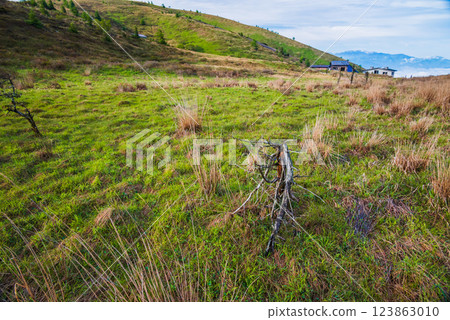 擁抱大自然 [八伏山登山路線的風景] 123863010