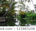 South Indian Life 123863206