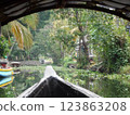 South Indian Life 123863208