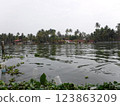 South Indian Life 123863209