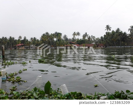 South Indian Life 123863209