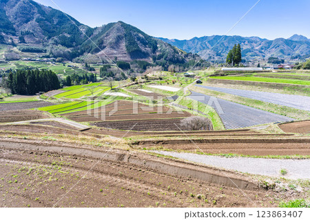 春日閃耀的田園風光 「世界重要農業文化遺產高千穗鄉椎葉山地區」 宮崎縣高千穗町 123863407