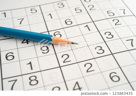 Sudoku puzzle game playing to challenge brain. 123863435
