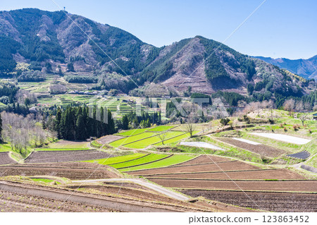 A rural landscape shining on a spring day "Globally Important Agricultural Heritage Site Takachiho-go and Shiibayama Region" Takachiho Town, Miyazaki Prefecture 123863452