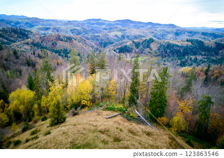 Dynamic aerial view of rocky outcrop nestled among mix of autumnal and evergreen trees. Vibrant fall colors contrast with green valleys and rolling hills in background, creating picturesque landscape. Dynamic aerial view of rocky outcrop nestled among mix of autumnal and evergreen trees. Vibrant fall colors contrast with green valleys and rolling hills in background, creating picturesque landscape. 123863546