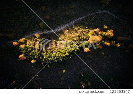 Aerial drone view of mountain hiking pathway on deforested hill with green and orange trees Aerial drone view of mountain hiking pathway on deforested hill with green and orange trees 123863547