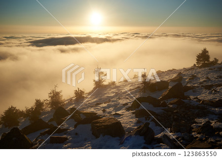 Snow-covered mountain slope at dawn, with scattered rocks and small trees adding texture to foreground. Sea of clouds below bathed in soft hues of blue and gold as sunlight gently illuminates scene. Snow-covered mountain slope at dawn, with scattered rocks and small trees adding texture to foreground. Sea of clouds below bathed in soft hues of blue and gold as sunlight gently illuminates scene. 123863550