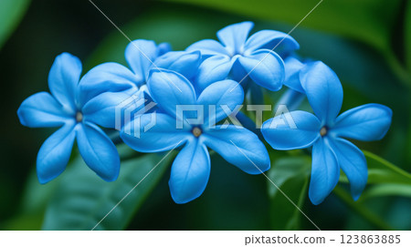 Blue flower background material (Generative AI) 123863885