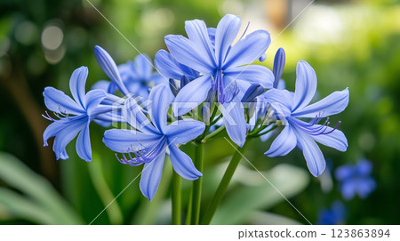 Blue flower background material (Generative AI) Blue flower background material (Generative AI) 123863894