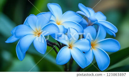 Blue flower background material (Generative AI) Blue flower background material (Generative AI) 123863897