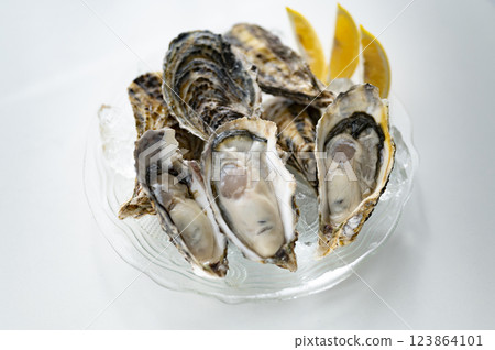 冬味生蠔 123864101