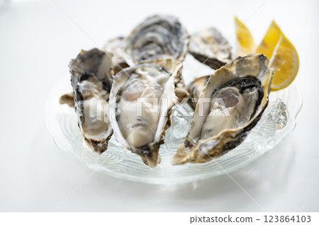 Winter taste raw oysters Winter taste raw oysters 123864103