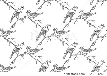 Line art seamless pattern with garden birds vector illustration. Hand drawn outline repeating sparrow birds pattern on white background. Graphic design for Cover Coloring Page Textile Fashion Print Line art seamless pattern with garden birds vector illustration. Hand drawn outline repeating sparrow birds pattern on white background. Graphic design for Cover Coloring Page Textile Fashion Print 123864268