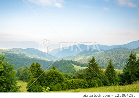 mountain landscape in the morning. alpine weather. fir forest on the hill. beautiful view of nature in summer. fog in the distant valley explore ukraine mountain landscape in the morning. alpine weather. fir forest on the hill. beautiful view of nature in summer. fog in the distant valley explore ukraine 123864283